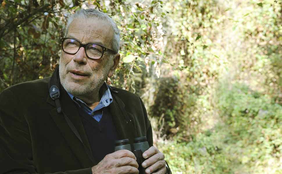 danilo-mainardi