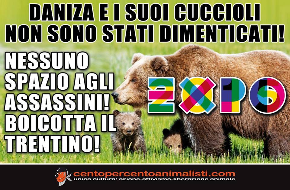 Daniza expo - Copia