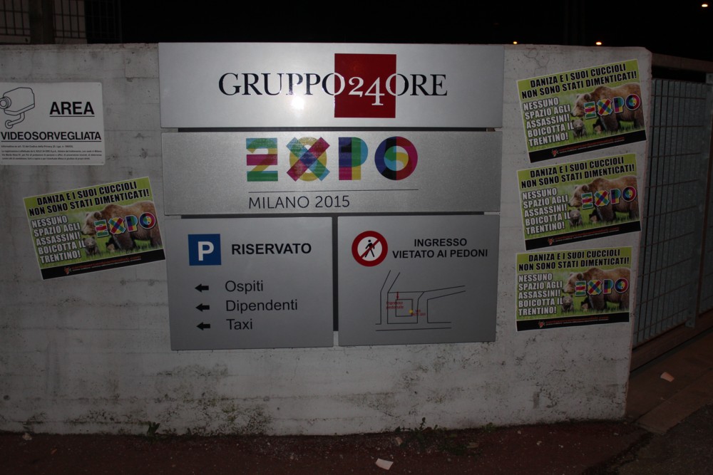 expo-1 - Copia