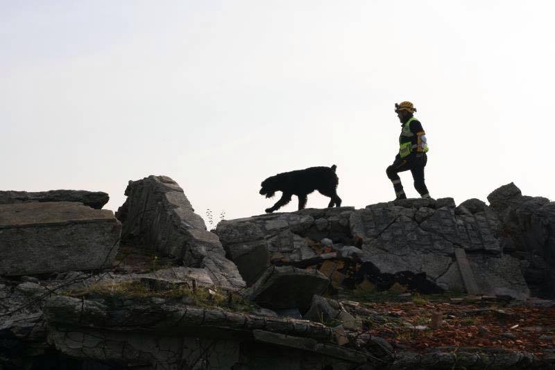 Muttley e Zagor due cani votati al soccorso. Due unità cinofile trentine dopo una selezione mondiale entrate nel corpo speciale dellIro