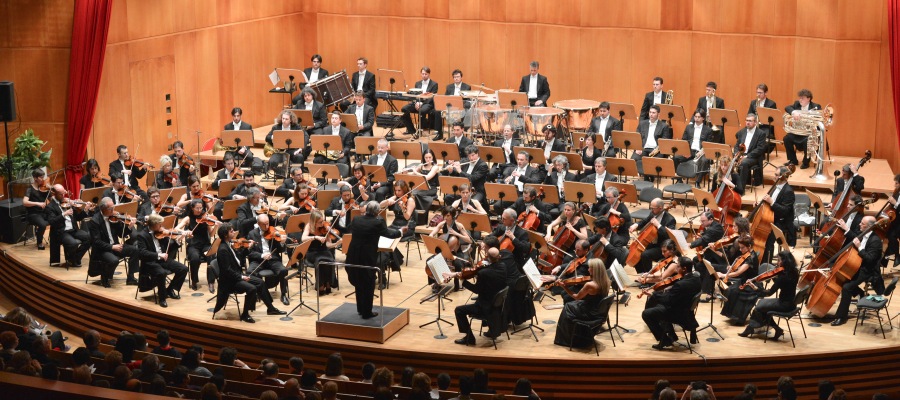haydn orchestra2