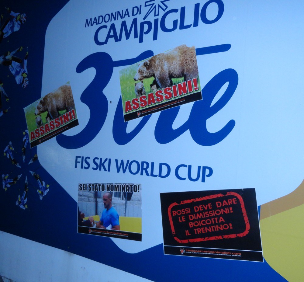 Daniza-22 campiglio 3TRE