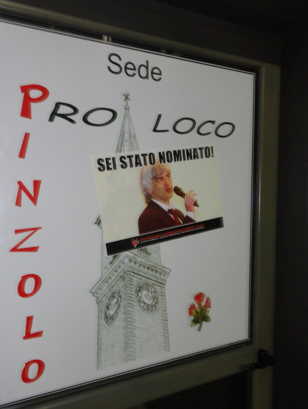 Daniza-29 Proo loco pinzolo