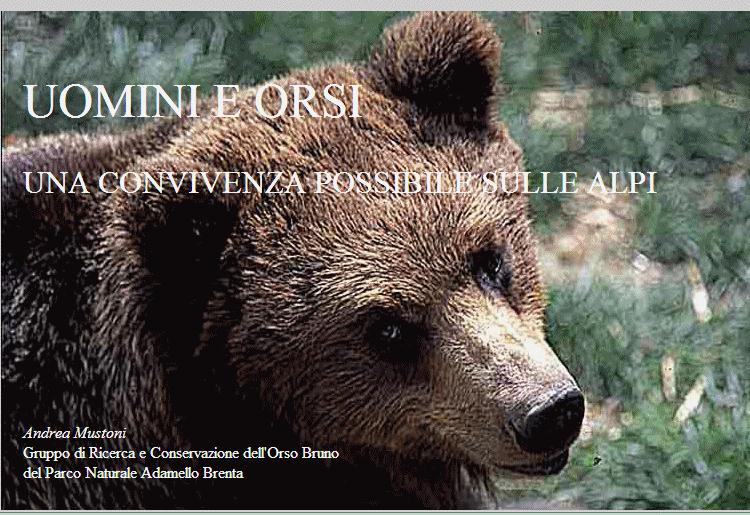orso alpi