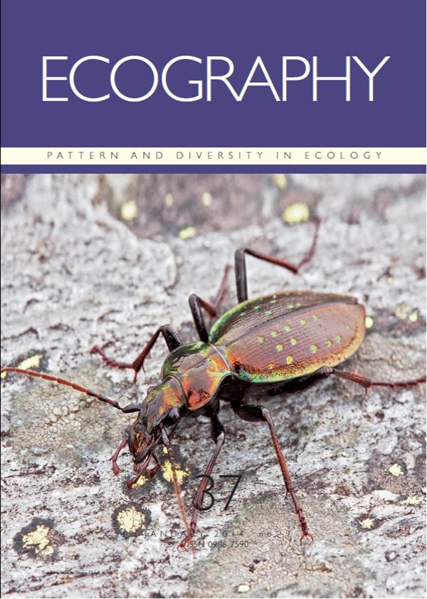 copertina ecography
