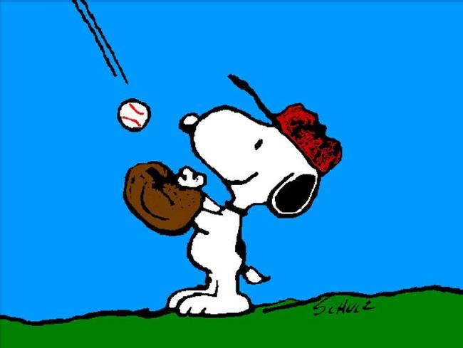 festasport-snoopy