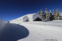 Doss_del_sabion_pinzolo025