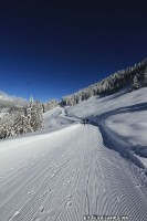 Doss_del_sabion_pinzolo028