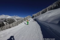 Doss_del_sabion_pinzolo031